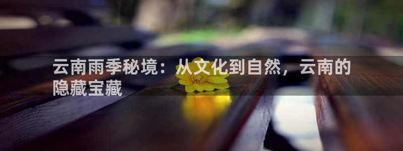 云顶国际app官方下载