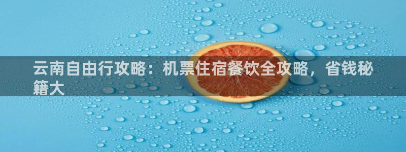 云顶官网com