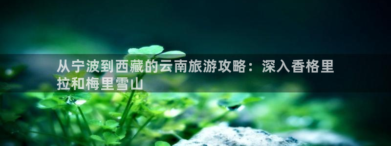 云顶集团7610官方网站