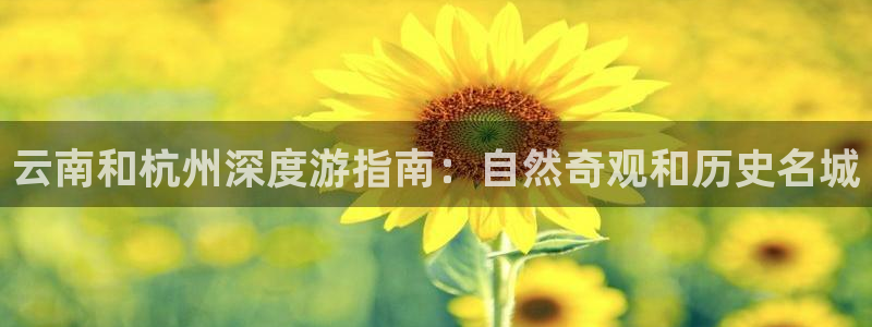 云顶国际4008平台