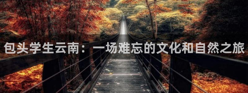 云顶yd222备用线路检测