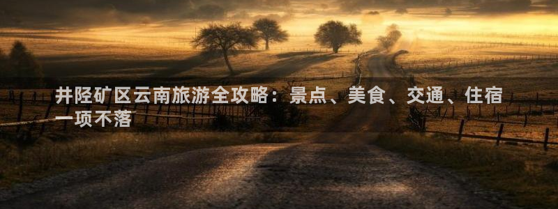 yd12300云顶线路
